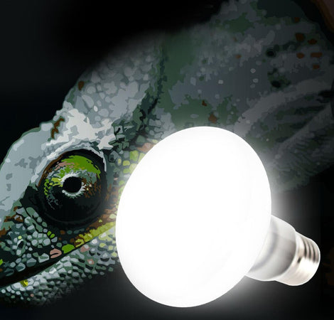 LAMPADA GIORNO RETTILI TARTARUGHE TERRARIO 50W ANIMALI LUCE SOLARE RAGGI UVA UVB Prodotti per animali domestici/Rettili e anfibi/Lampade riscaldanti Trade Shop italia - Napoli, Commerciovirtuoso.it