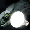 Lampada-Giorno-Rettili-Tartarughe-Terrario-50w-Animali-Luce-Solare-Raggi-Uva-Uvb