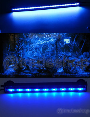 LAMPADA IMMERSIONE LED PER ACQUARIO TUBO LED T4 DEE LUCE PESCI BIANCA RGB BLU  Trade Shop italia - Napoli, Commerciovirtuoso.it