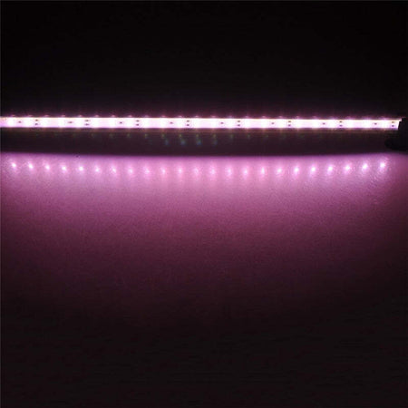 AMZLORD Lampada subacquea a LED for pesci con calamari e calamari, colore blu AMZLORD Lampada subacquea a LED for pesci con calamari e calamari, colore blu