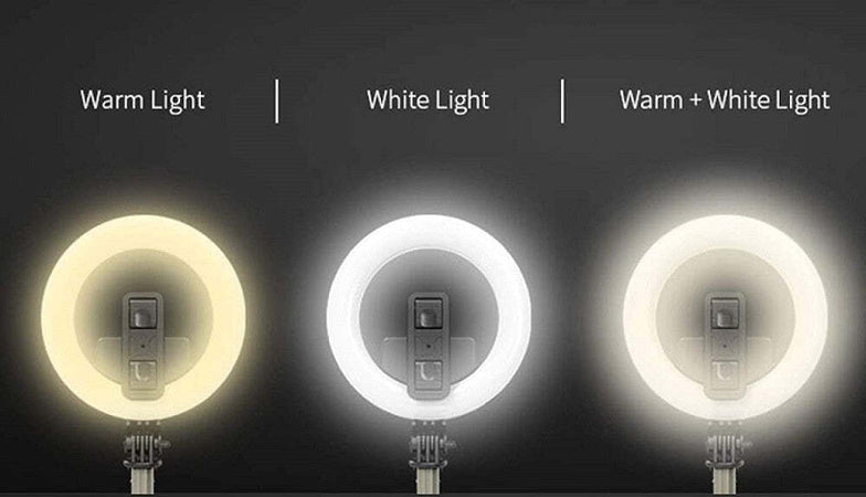 Lampada Led Da 5 Pollici + Stick Con Supporto Telefono Cellulare Bluetooth 4.0 Elettronica e telefonia > Fotografia e video > Supporti e Cavalletti Trade Shop italia - Napoli, Commerciovirtuoso.it