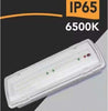 Lampada-Led-Emergenza-Anti-Blackout-Esterno-Ip65-3.5w-400lm-3-Ore-Autonomia