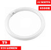 LAMPADA LUCE NEON CIRCOLARE FREDDA T9 RISPARMIO ENERGETICO FLUORESCENTE 22 WATT  Trade Shop italia - Napoli, Commerciovirtuoso.it