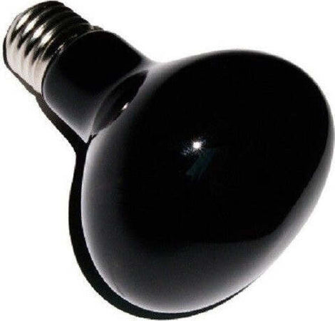 LAMPADA LUNA NOTTURNA RETTILI TARTARUGHE TERRARIO LUCE VIOLA RAGGI UVA UVB 50W Prodotti per animali domestici/Rettili e anfibi/Lampade riscaldanti Trade Shop italia - Napoli, Commerciovirtuoso.it