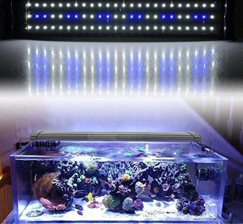 LAMPADA PLAFONIERA HQ LED PER ACQUARI ACQUARIO BORDO VASCA REGOLABILE CM W LUCE Prodotti per animali domestici/Pesci e animali d'acqua/Illuminazione per acquario Trade Shop italia - Napoli, Commerciovirtuoso.it