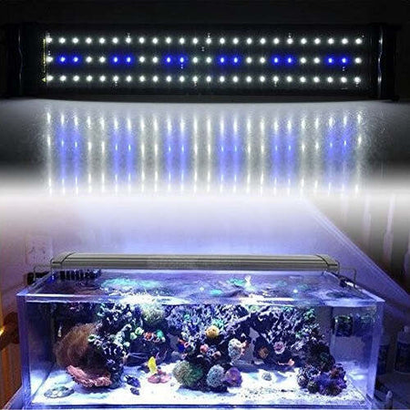 Lampada Plafoniera A Led Per Acquari A Bordo Vasca Regolabile Luce Bianca + Blu Prodotti per animali domestici/Pesci e animali d'acqua/Illuminazione per acquario Trade Shop italia - Napoli, Commerciovirtuoso.it