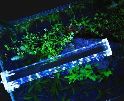 Lampada Plafoniera Led Per Acquario Luce 12 W Bordo Vasca Vetro Piante Pesci Prodotti per animali domestici/Pesci e animali d'acqua/Illuminazione per acquario Trade Shop italia - Napoli, Commerciovirtuoso.it