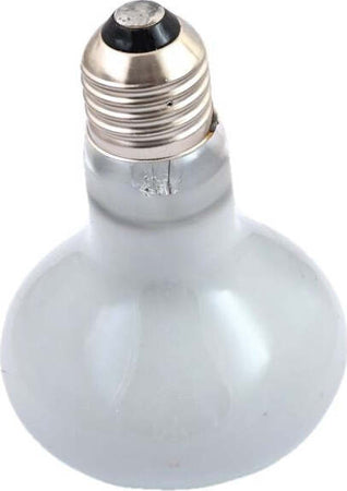 LAMPADA RETTILI TARTARUGHE TERRARIO ANIMALI LUCE SOLARE RAGGI UVA UVB 100 W Prodotti per animali domestici/Rettili e anfibi/Lampade riscaldanti Trade Shop italia - Napoli, Commerciovirtuoso.it