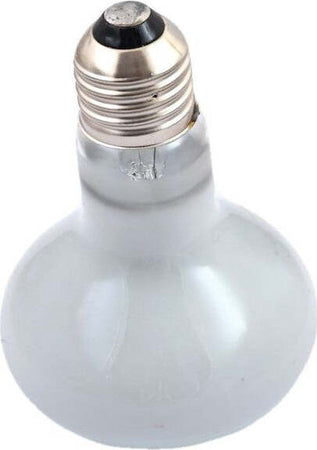 Lampada-Rettili-Tartarughe-Terrario-Animali-Luce-Solare-Raggi-Uva-Uvb-100-W