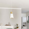Lampadario-Contemporaneo-Aglientina-1-Luce-Metallo-Ottone-Spazzolato