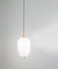 Lampadario-In-Metallo-Contemporaneo-Cirro-Bianco-Led-Diffusore-Allungato