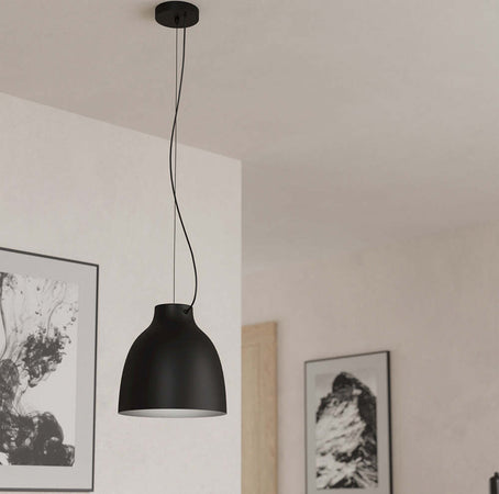 Lampadario-Industrial-Camasca-1-Luce-Acciaio-Nero