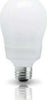 Lampadina A Risparmio Energetico Forma Standard 8 Watt E27 Luce Calda Globetto Casa, arredamento e bricolage > Illuminazione da interno > Lampade Led Trade Shop italia - Napoli, Commerciovirtuoso.it