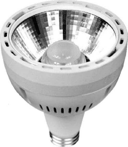 Lampadina-Led-Cob-Par30-E27-36-Watt-Faretto-Luce-3000k-4000k-6500k-Bianco-P30-2b