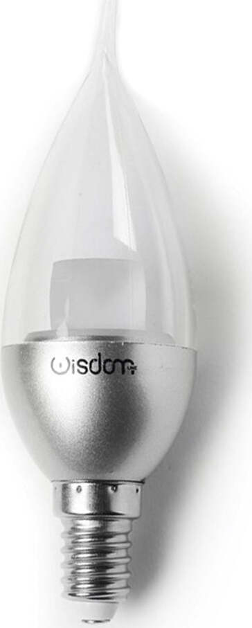 LAMPADINA LED COLPO VENTO E14 DA 4W LUCE FREDDO NATURALE CALDO Illuminazione/Lampadine/Lampadine a LED Trade Shop italia - Napoli, Commerciovirtuoso.it
