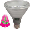Lampadina Led Lampada 10w 5 Led Per Coltivazione Piante Fiori Idroponica E27 Giardino e giardinaggio/Giardinaggio/Serre e attrezzature per la germinazione/Illuminazione/Impianti per coltivazione indoor Trade Shop italia - Napoli, Commerciovirtuoso.it