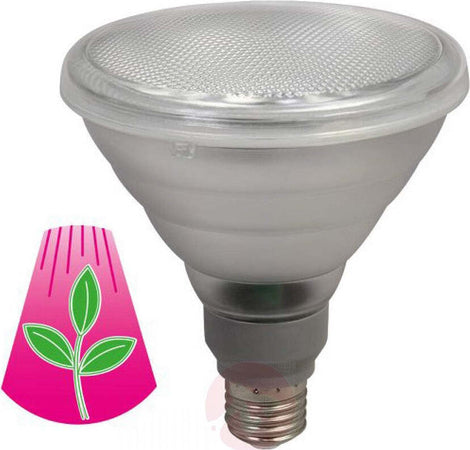 Lampadina Led Lampada 10w 5 Led Per Coltivazione Piante Fiori Idroponica E27 Giardino e giardinaggio/Giardinaggio/Serre e attrezzature per la germinazione/Illuminazione/Impianti per coltivazione indoor Trade Shop italia - Napoli, Commerciovirtuoso.it