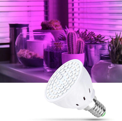 Lampadina Led Smd Lampada 2w Per Coltivazione Piante Fiori Idroponica E14 E27 Giardino e giardinaggio/Giardinaggio/Serre e attrezzature per la germinazione/Illuminazione/Impianti per coltivazione indoor Trade Shop italia - Napoli, Commerciovirtuoso.it