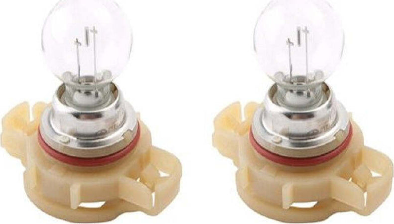 Lampadina Posizione Auto Psx24w 12v 24w Luce Alogena Lampada Segnalazione L-p141 Auto e Moto > Auto > Illuminazione Auto Trade Shop italia - Napoli, Commerciovirtuoso.it