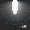 LAMPADINA V-TAC LED E40 60W OLIVE LAMP SMD CHIP SAMSUNG - SKU 21187 / 21188 Illuminazione/Lampadine/Lampadine a LED Zencoccostore - Formia, Commerciovirtuoso.it