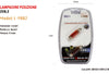 Lampadine Di Posizione Sv8.5 Maxtech L-p082r 12v/41mm 5w Lampadine Ultra Luminose Auto e Moto/Parti per auto/Luci lampadine e indicatori/Lampadine/Lampadine per esterno Trade Shop italia - Napoli, Commerciovirtuoso.it