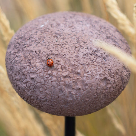 Lampioncino-rustico-esterno-9010-Belfiore-OOLITE-TERRA-1112C-30173-24V-IP65-3000K-600Lm-lampada-terra-classica