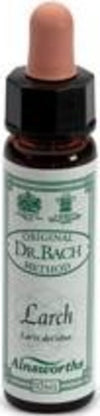 LARCH-n°-19-integratore-alimentare-10-ml-Santiveri-Ibersan