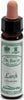 LARCH-n°-19-integratore-alimentare-10-ml-Santiveri-Ibersan