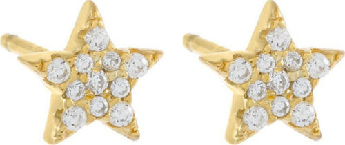 Lauren-P.---ORECCHINI-STELLA-Laura-P.