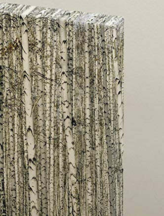 LegendArte Stampa su Tela Bosco di Betulle 80x100 cm Casa e cucina/Decorazioni per interni/Arte/Poster e stampe Scontolo.net - Potenza, Commerciovirtuoso.it