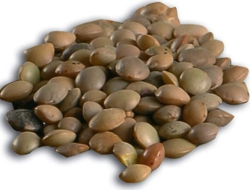 Lenticchia-di-Villalba-Biologica