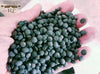 Lenticchia-nera-Biologica-di-Monreale