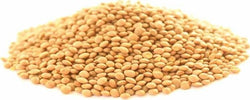 Lenticchia-rossa-Biologica