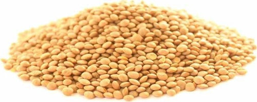 Lenticchia-rossa-Biologica