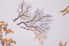 Lenzuolo-piano-stampa-digitale-in-cotone-made-in-italy-CORALLI-OCRA-SU-BIANCO