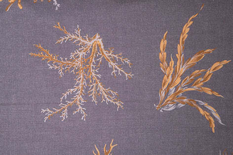 Lenzuolo-piano-stampa-digitale-in-cotone-made-in-italy-CORALLI-OCRA-SU-GRIGIO
