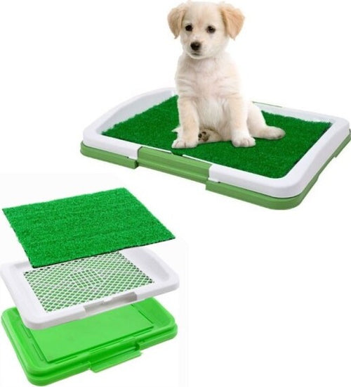 Lettiera-Maxi-Per-Cucciolo-Cane-Erba-Wc-Panno-Assorbente-Potty-Cuccioli-Casa