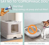 Lettiera Per Gatti Con Ingresso Dall'alto Coperchio Toilette Paletta In Plastica Prodotti per animali > Prodotti per Gatti > Lettiere Trade Shop italia - Napoli, Commerciovirtuoso.it
