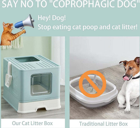 Lettiera Per Gatti Con Ingresso Dall'alto Coperchio Toilette Paletta In Plastica Prodotti per animali > Prodotti per Gatti > Lettiere Trade Shop italia - Napoli, Commerciovirtuoso.it