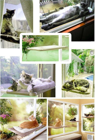 LETTINO LAVABILE PER GATTI A MURO CON VENTOSE 50 X 25 CM X 7,5 KG  Trade Shop italia - Napoli, Commerciovirtuoso.it