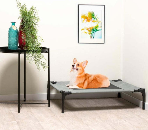 Letto-Cuccia-per-Cani-Lettino-Animali-Domestici-con-Borsa-per-Trasporto-Max-30kg