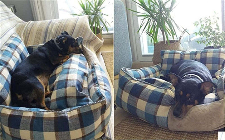 Letto Per Cani Traspirante Cotone Lavabile Divano Taglia S 45x35 Cm Griglia Blu Prodotti per animali > Prodotti per Cani > Cucce Trade Shop italia - Napoli, Commerciovirtuoso.it