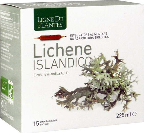 LIGNE-DE-PLANTES-LICHENE-ISLANDICO-15-AMPOLLE-X-15-ML