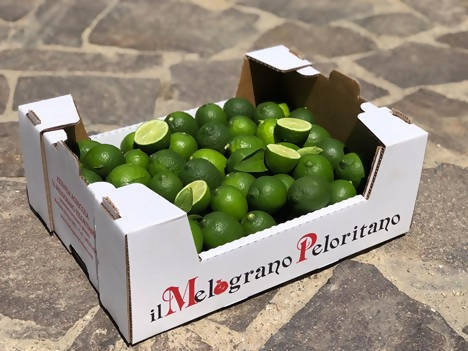 Lime Siciliano Fresco La Vallette Lime Fresco In Box Il Melograno Peloritano