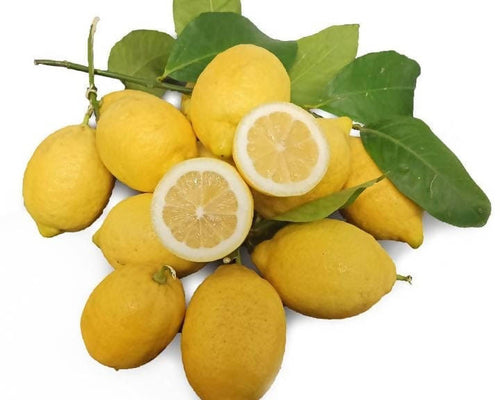 Limone Femminello Siracusano Cassetta di Limoni Naturali Made in Italy Limoni Extra Succo Italiani Coltivati in Italia Limoni Naturali Azienda Agricola Russo