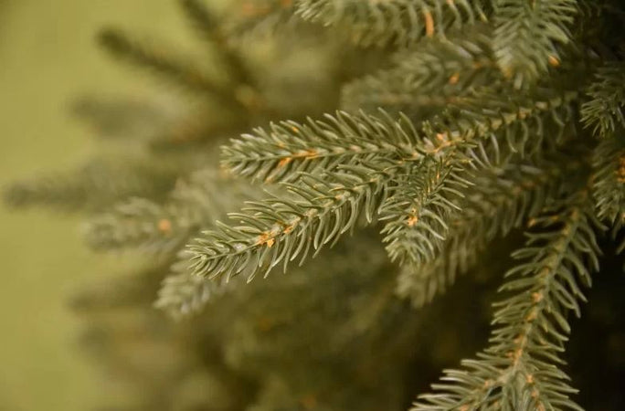 Albero di natale "Lincoln" 100 % in PE Effetto Real Touch di Altissima qualità