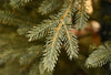 Albero di natale Lincoln 100 % in PE Effetto Real Touch di Altissima qualità