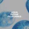 Product Image-3