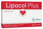 Product Image-0