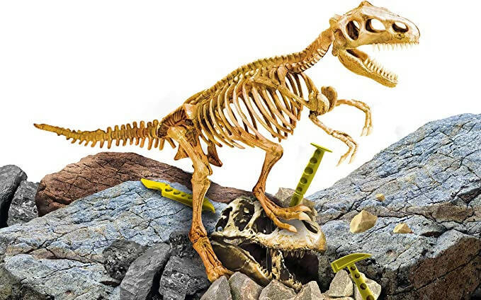 Lisciani – I’m a Genius Predators 2 in 1 Gioco per Bambini Scheletri Di Dinosauro, Pietra Da Scavare, Attrezzi, Manuale Illustrato Giochi e giocattoli/Giochi educativi e scientifici/Kit e esperimenti di scienze Cartoleria Deja Vu - Crotone, Commerciovirtuoso.it